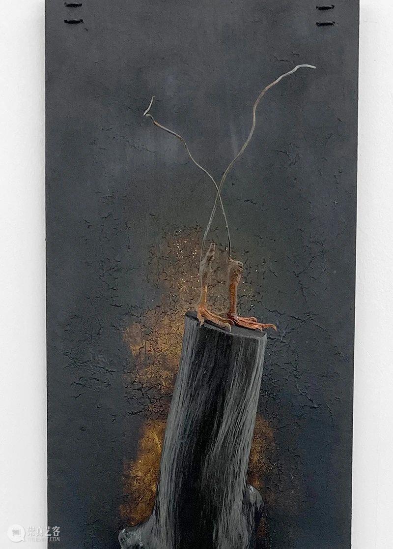 杨洋 | 呼伦贝尔没有草原 | 现场 呼伦贝尔 草原 杨洋 现场 艺术家 Artist Yang Curator 冯震霆 Feng 崇真艺客