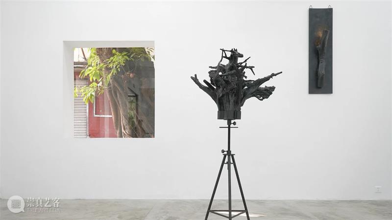 杨洋 | 呼伦贝尔没有草原 | 现场 呼伦贝尔 草原 杨洋 现场 艺术家 Artist Yang Curator 冯震霆 Feng 崇真艺客