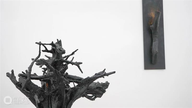 杨洋 | 呼伦贝尔没有草原 | 现场 呼伦贝尔 草原 杨洋 现场 艺术家 Artist Yang Curator 冯震霆 Feng 崇真艺客