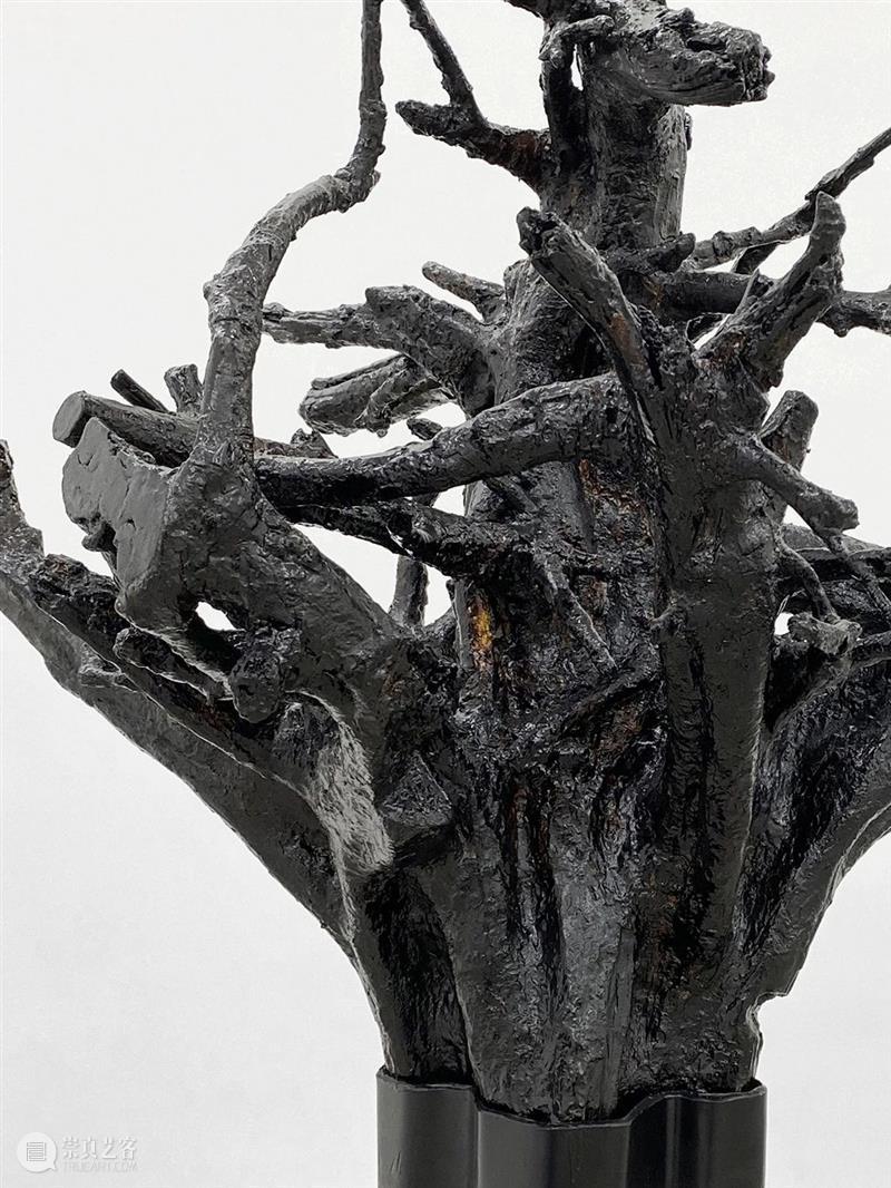 杨洋 | 呼伦贝尔没有草原 | 现场 呼伦贝尔 草原 杨洋 现场 艺术家 Artist Yang Curator 冯震霆 Feng 崇真艺客