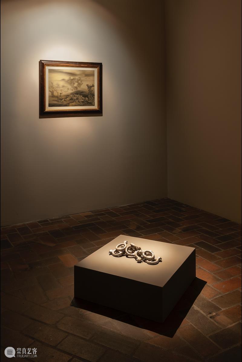 动态 | Dora Budor 近期展讯 Dora Budor 近期 动态 展讯 bicycle dimensions Rise Set Berlin 崇真艺客