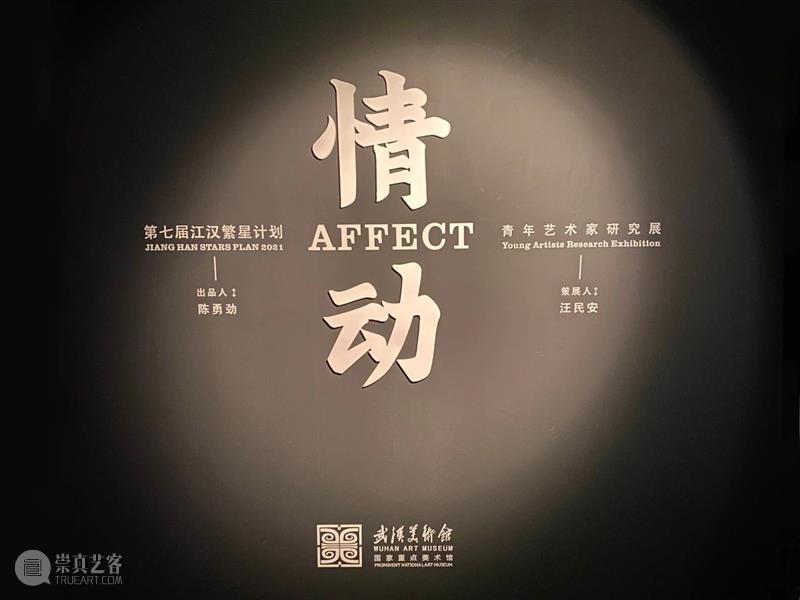 偏锋 新闻 | 康海涛、倪军参展武汉美术馆情动——第七届江汉繁星计划 · 青年艺术家研究展  偏锋画廊 崇真艺客
