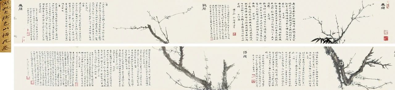 圣佳艺文志 | 草木荣华,四时花卉记——梅花 梅花 草木 圣佳 艺文志 荣华 花卉 暗香疏影文 安德烈 墙角数枝梅 凌寒 崇真艺客