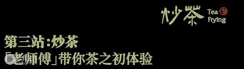 5000多年历史，4000多亿市场规模，中国茶文化还可以这样玩？ 中国 文化 历史 市场 规模 七件事 柴米油盐酱醋茶 中华民族 部分 日常生活 崇真艺客