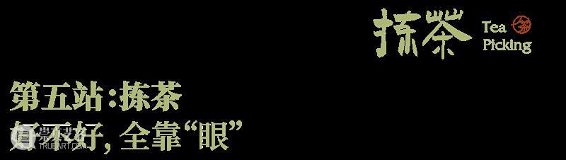 5000多年历史，4000多亿市场规模，中国茶文化还可以这样玩？ 中国 文化 历史 市场 规模 七件事 柴米油盐酱醋茶 中华民族 部分 日常生活 崇真艺客