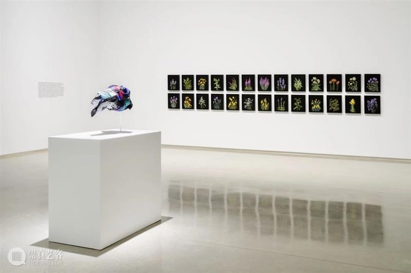 郭凤怡作品正在展出于加拿大莱米现代艺术馆（Remai Modern）群展“一句道歉，一粒药丸，一种仪式，一种抵抗” 药丸 仪式 加拿大 郭凤怡 作品 莱米现代艺术馆 Modern）群展 现代 艺术馆 Modern 崇真艺客