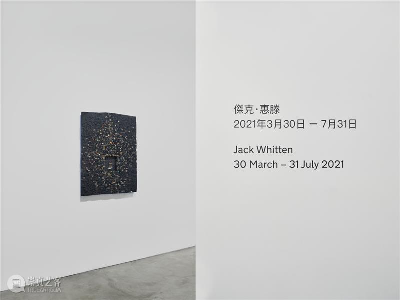 直播预告:杰克·惠滕亚洲首场个展在线导览 豪瑟沃斯 杰克 惠滕 亚洲 首场 个展 美国 艺术家 Whitten 豪瑟 沃斯 崇真艺客