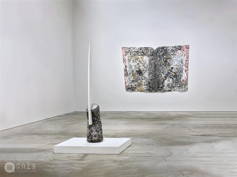 直播预告:杰克·惠滕亚洲首场个展在线导览 豪瑟沃斯 杰克 惠滕 亚洲 首场 个展 美国 艺术家 Whitten 豪瑟 沃斯 崇真艺客