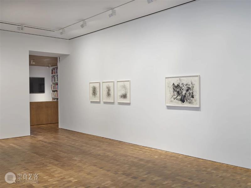 直播预告:杰克·惠滕亚洲首场个展在线导览 豪瑟沃斯 杰克 惠滕 亚洲 首场 个展 美国 艺术家 Whitten 豪瑟 沃斯 崇真艺客