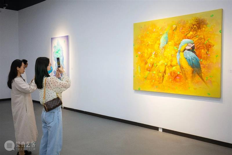 祥山 · 展评 | 批评家、艺术家谈曾浩（一）  祥山艺术馆 曾浩 批评家 艺术家 祥山 展评 祥山艺术馆 幻像 个展 系列 文章 崇真艺客