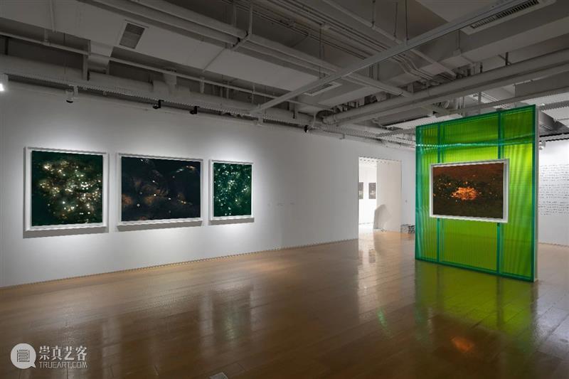 艺术家 | 陈维 昊美术馆个展 Good Night 展览现场 陈维 Night 现场 昊美术馆 艺术家 个展 上海 香格纳画廊 新城 系列 崇真艺客
