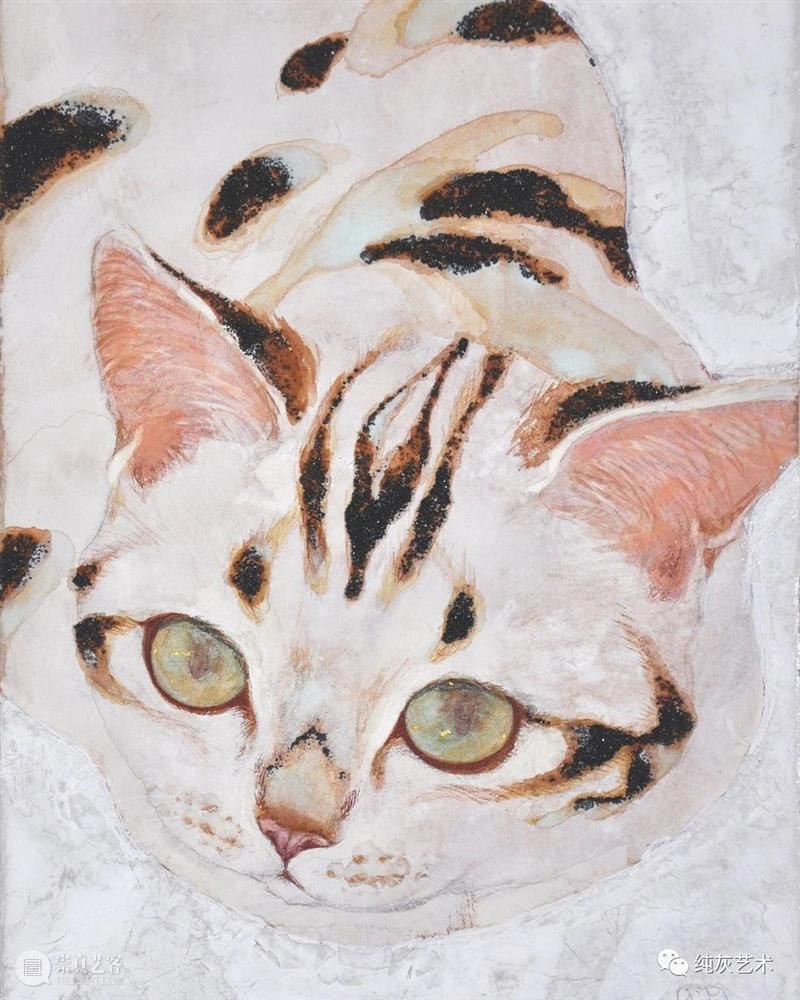 慵懒温和的猫咪 猫咪 日本 插画师 haruka kuno 矿物 颜料 金箔 银箔 兔子 崇真艺客