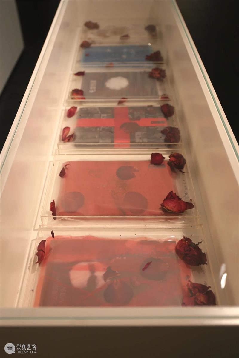 活动报名 | “女性主义&女性视角”李虹个展学术研讨会 李虹 个展 学术 研讨会 活动 女性 女性主义 视角 合馆 现场 崇真艺客