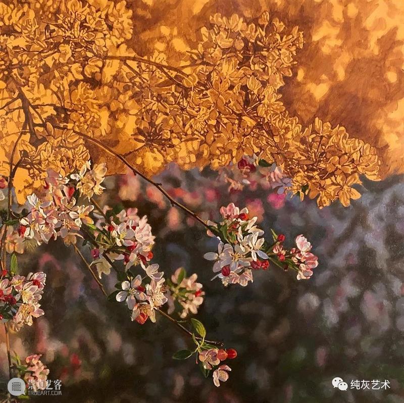 自然光下的写实花卉 自然光 花卉 美国 画家 Jeffrey Vaughn 风景 工作 作品 自然世界 崇真艺客