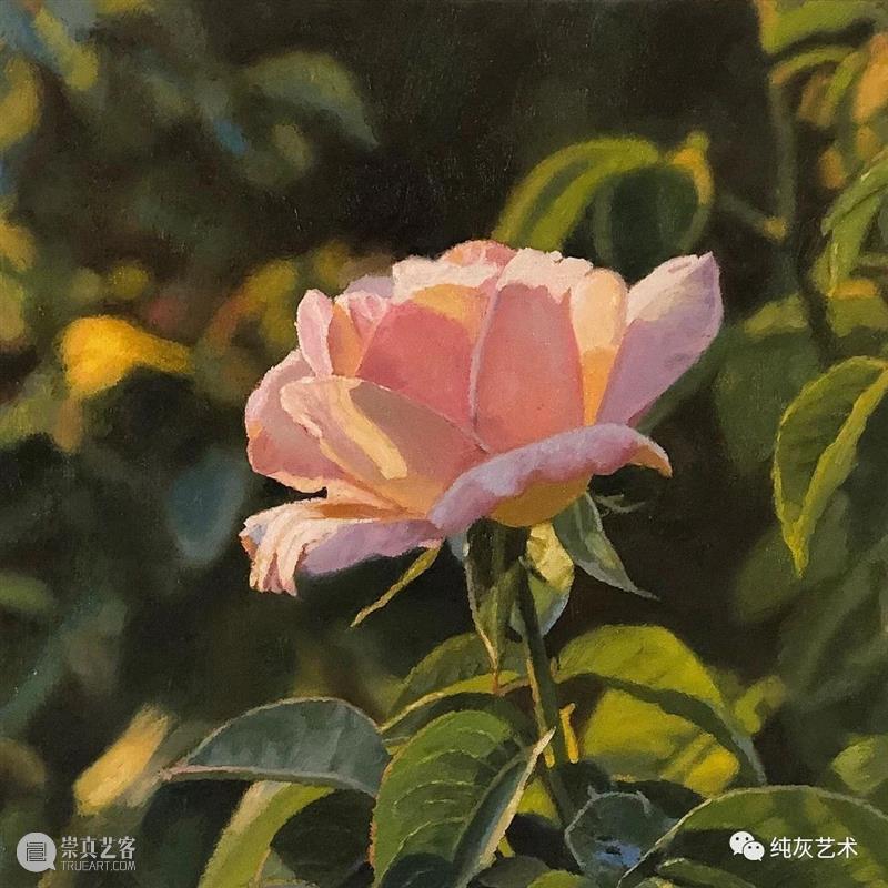 自然光下的写实花卉 自然光 花卉 美国 画家 Jeffrey Vaughn 风景 工作 作品 自然世界 崇真艺客