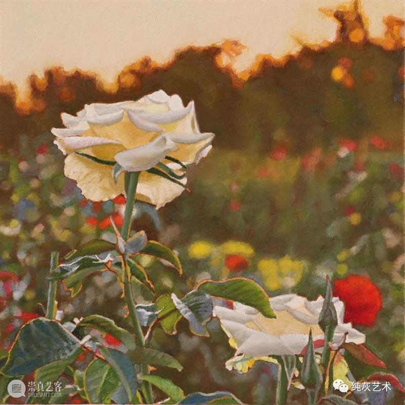 自然光下的写实花卉 自然光 花卉 美国 画家 Jeffrey Vaughn 风景 工作 作品 自然世界 崇真艺客