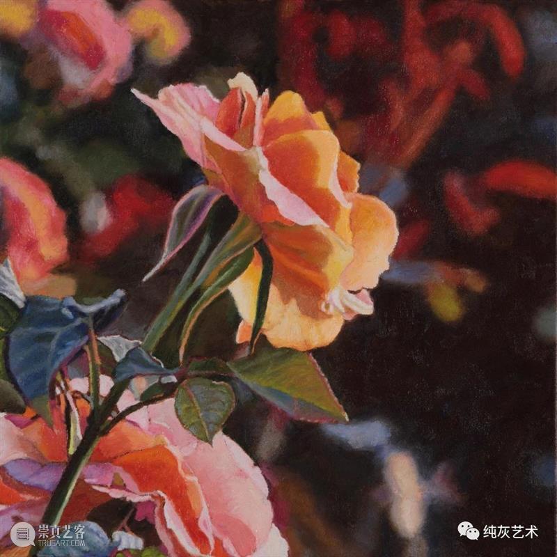自然光下的写实花卉 自然光 花卉 美国 画家 Jeffrey Vaughn 风景 工作 作品 自然世界 崇真艺客