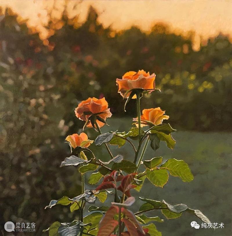 自然光下的写实花卉 自然光 花卉 美国 画家 Jeffrey Vaughn 风景 工作 作品 自然世界 崇真艺客