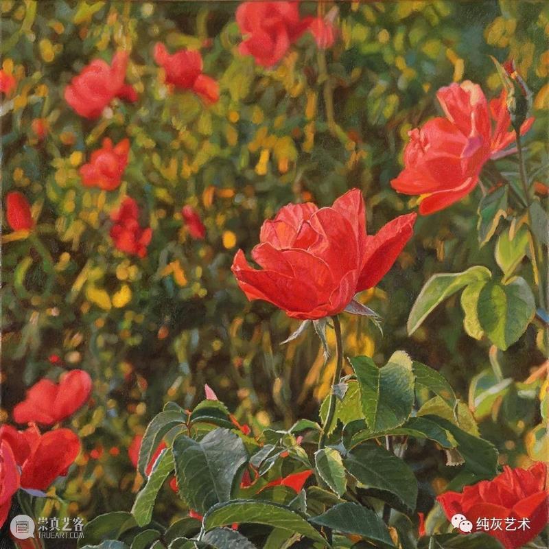 自然光下的写实花卉 自然光 花卉 美国 画家 Jeffrey Vaughn 风景 工作 作品 自然世界 崇真艺客