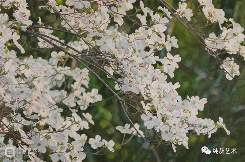 自然光下的写实花卉 自然光 花卉 美国 画家 Jeffrey Vaughn 风景 工作 作品 自然世界 崇真艺客