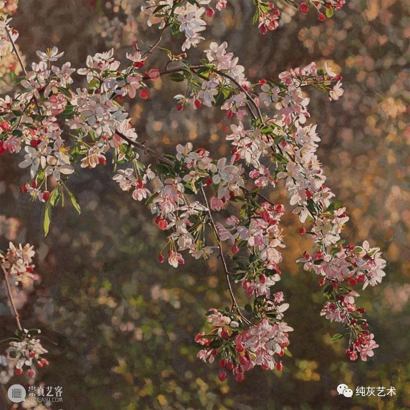 自然光下的写实花卉 自然光 花卉 美国 画家 Jeffrey Vaughn 风景 工作 作品 自然世界 崇真艺客