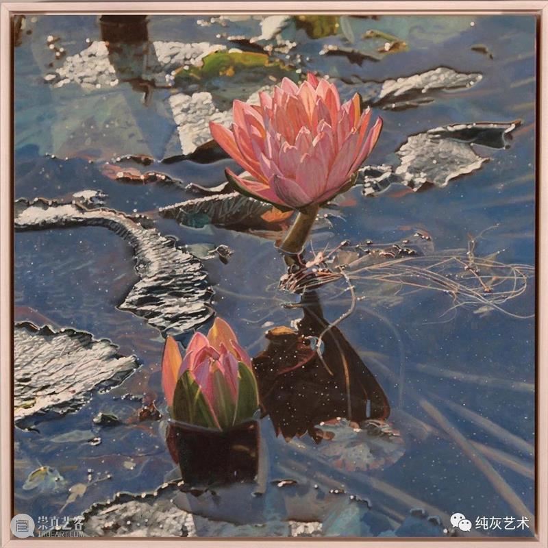 自然光下的写实花卉 自然光 花卉 美国 画家 Jeffrey Vaughn 风景 工作 作品 自然世界 崇真艺客