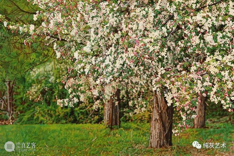 自然光下的写实花卉 自然光 花卉 美国 画家 Jeffrey Vaughn 风景 工作 作品 自然世界 崇真艺客