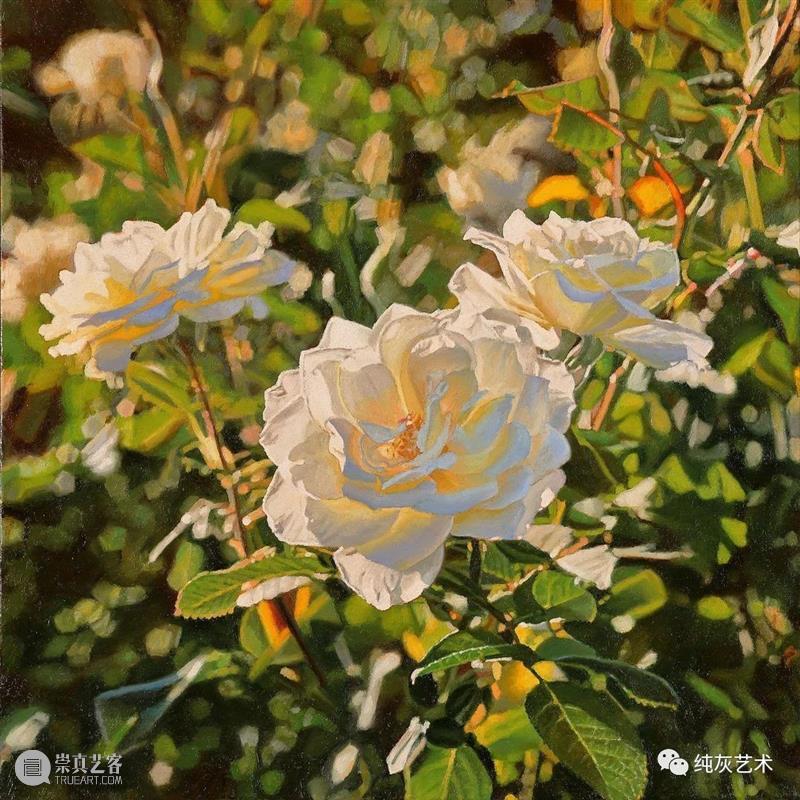 自然光下的写实花卉 自然光 花卉 美国 画家 Jeffrey Vaughn 风景 工作 作品 自然世界 崇真艺客