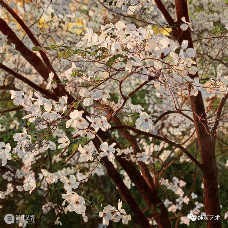 自然光下的写实花卉 自然光 花卉 美国 画家 Jeffrey Vaughn 风景 工作 作品 自然世界 崇真艺客