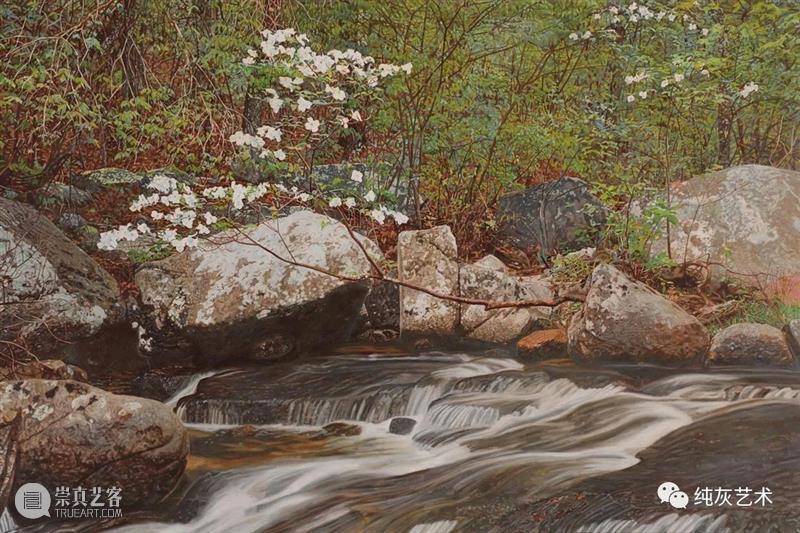 自然光下的写实花卉 自然光 花卉 美国 画家 Jeffrey Vaughn 风景 工作 作品 自然世界 崇真艺客