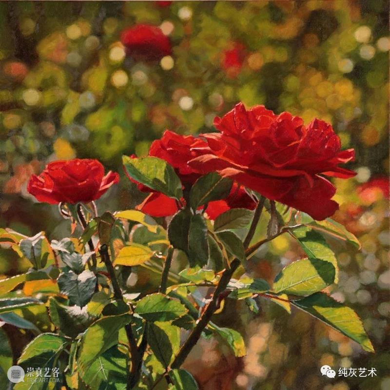自然光下的写实花卉 自然光 花卉 美国 画家 Jeffrey Vaughn 风景 工作 作品 自然世界 崇真艺客
