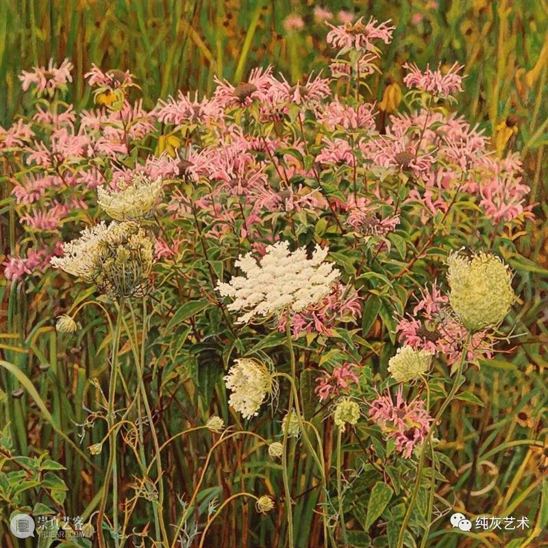 自然光下的写实花卉 自然光 花卉 美国 画家 Jeffrey Vaughn 风景 工作 作品 自然世界 崇真艺客