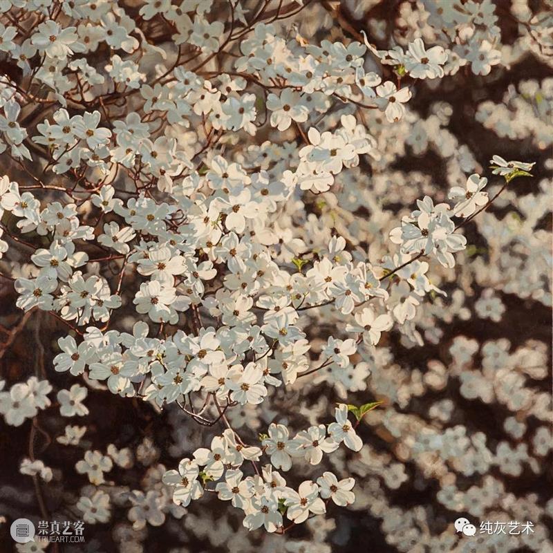 自然光下的写实花卉 自然光 花卉 美国 画家 Jeffrey Vaughn 风景 工作 作品 自然世界 崇真艺客