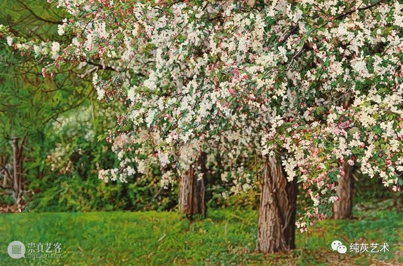 自然光下的写实花卉 自然光 花卉 美国 画家 Jeffrey Vaughn 风景 工作 作品 自然世界 崇真艺客