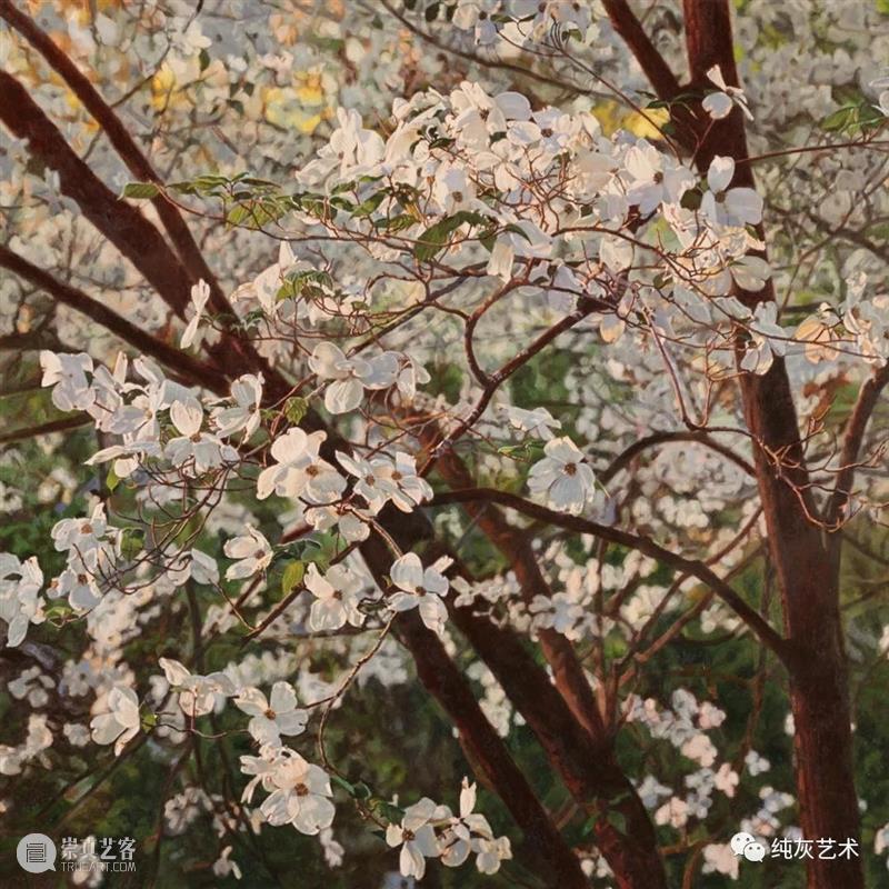 自然光下的写实花卉 自然光 花卉 美国 画家 Jeffrey Vaughn 风景 工作 作品 自然世界 崇真艺客