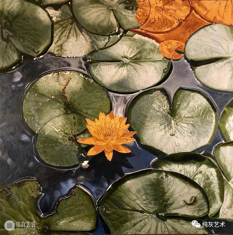 自然光下的写实花卉 自然光 花卉 美国 画家 Jeffrey Vaughn 风景 工作 作品 自然世界 崇真艺客