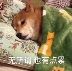 《1921》发布首支预告;《机动战士高达》将拍真人电影 首支 电影 机动战士高达 真人 影视 好剧 小豆 发布首支预告电影 陈坤 王源 崇真艺客