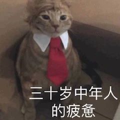 《1921》发布首支预告；《机动战士高达》将拍真人电影 首支 电影 机动战士高达 真人 影视 好剧 小豆 发布首支预告电影 陈坤 王源 崇真艺客