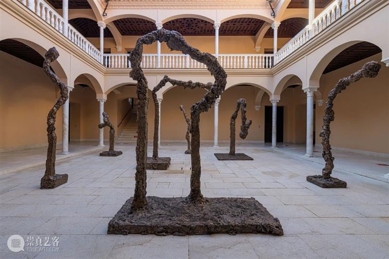 马拉加毕加索博物馆为米格尔·巴塞洛（Miquel Barceló）举办个展「变形记」｜AR艺术家 马拉加毕加索博物馆 艺术家 个展 变形记 米格尔 巴塞洛 Miquel Barceló PicassoMálaga 目前 崇真艺客