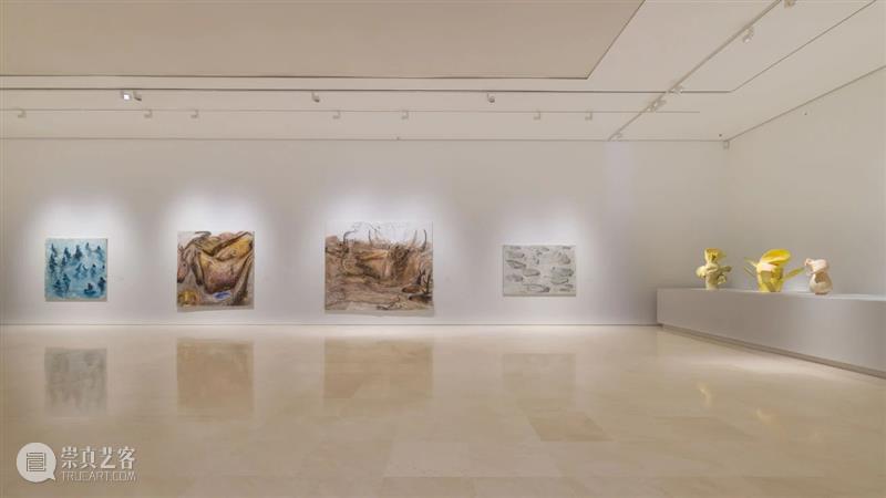 马拉加毕加索博物馆为米格尔·巴塞洛（Miquel Barceló）举办个展「变形记」｜AR艺术家 马拉加毕加索博物馆 艺术家 个展 变形记 米格尔 巴塞洛 Miquel Barceló PicassoMálaga 目前 崇真艺客