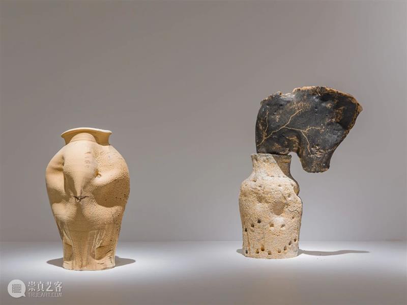 马拉加毕加索博物馆为米格尔·巴塞洛（Miquel Barceló）举办个展「变形记」｜AR艺术家 马拉加毕加索博物馆 艺术家 个展 变形记 米格尔 巴塞洛 Miquel Barceló PicassoMálaga 目前 崇真艺客