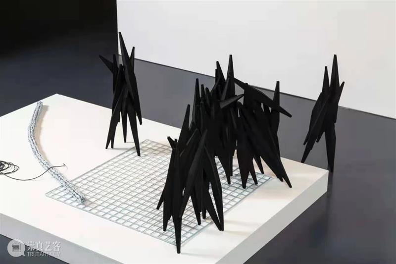 新展开幕及讲座预告 | 驻地工作坊第27期:任倢 “即兴种植” 任倢 讲座 驻地 工作坊 华侨城盒子美术馆驻地工作坊 艺术家 主办单位 华侨城盒子美术馆 广州美术学院油画系 项目 崇真艺客