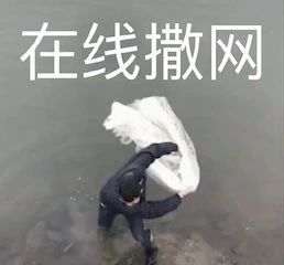 中国版《阳光姐妹淘》定档；张子枫新片因技术原因撤档 中国 阳光姐妹淘 张子枫 新片 技术 原因 影视 好剧 小豆 包贝尔 崇真艺客
