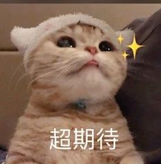中国版《阳光姐妹淘》定档；张子枫新片因技术原因撤档 中国 阳光姐妹淘 张子枫 新片 技术 原因 影视 好剧 小豆 包贝尔 崇真艺客