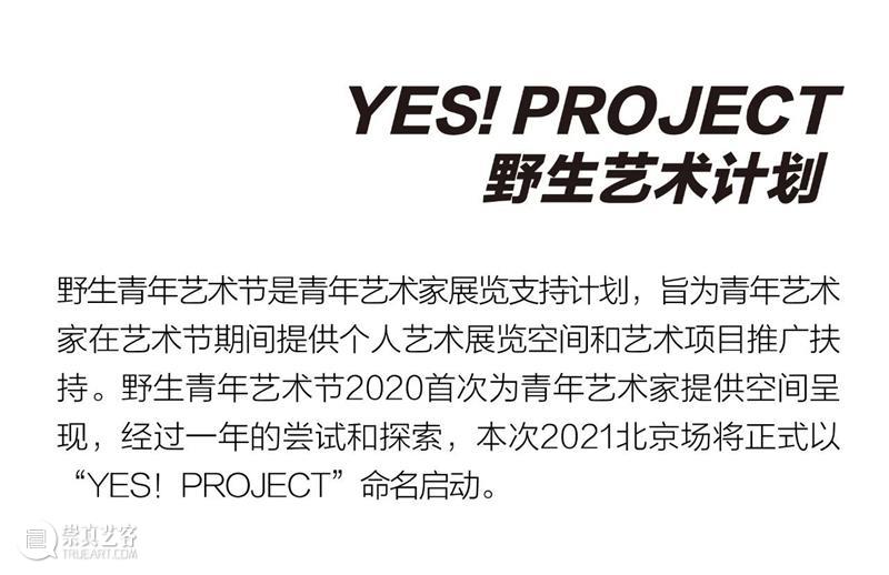 开启报名—北京时代美术馆6月携手2021野生青年艺术节 视频资讯 YAF 青年 艺术节 北京时代美术馆 杭州 纪录 短片 现场 主办方 Islands Art 崇真艺客