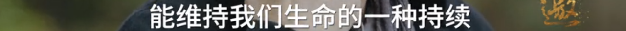 敢戳穿许知远虚伪的人，只有他了 许知远 老人家 手里 压迫感 杯子 对面 东西 老爷子 节目 十三邀 崇真艺客