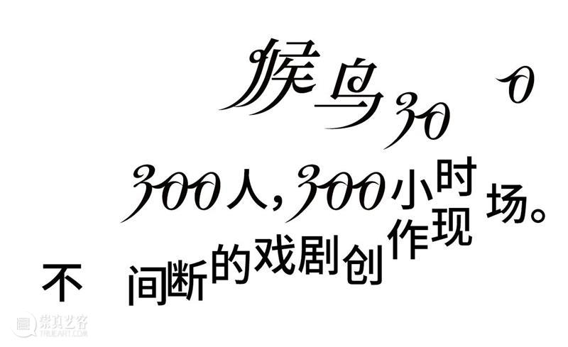 招募 | 阿那亚戏剧节【候鸟300】 博文精选 孟京辉戏剧工作室 阿那亚 戏剧节 候鸟 海边 崇真艺客