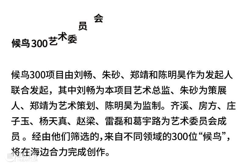 招募 | 阿那亚戏剧节【候鸟300】 博文精选 孟京辉戏剧工作室 阿那亚 戏剧节 候鸟 海边 崇真艺客