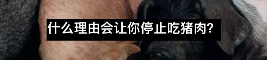 何谓歧视（差别心）？ 差别 Institute UCLA 利维坦 区别 体系 集体利益 个体 需求 问题 崇真艺客