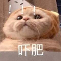 言承旭任素汐新片定档；漫威《尚气》曝首支预告 言承旭 任素汐 漫威 尚气 新片 预告 影视 好剧 小豆 有一点动心 崇真艺客